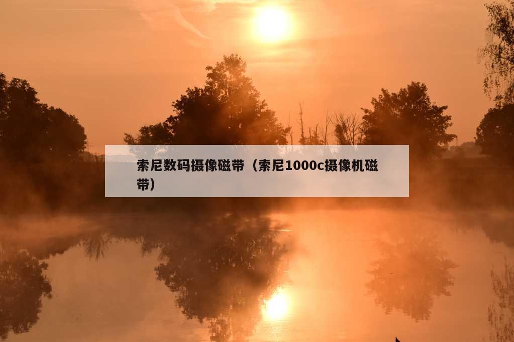 索尼数码摄像磁带（索尼1000c摄像机磁带）