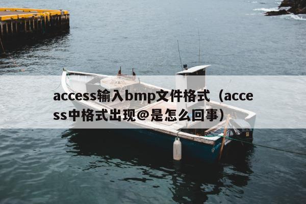 access输入bmp文件格式（access中格式出现@是怎么回事）