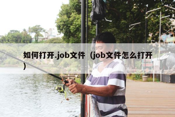 如何打开.job文件（job文件怎么打开）