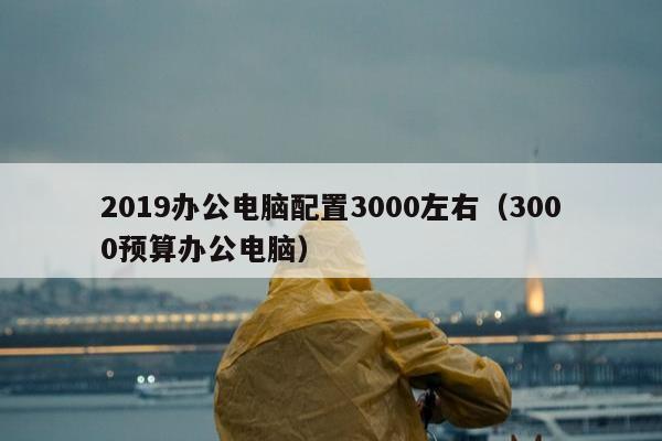 2019办公电脑配置3000左右（3000预算办公电脑）