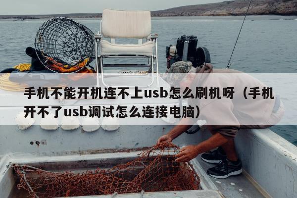 手机不能开机连不上usb怎么刷机呀（手机开不了usb调试怎么连接电脑）