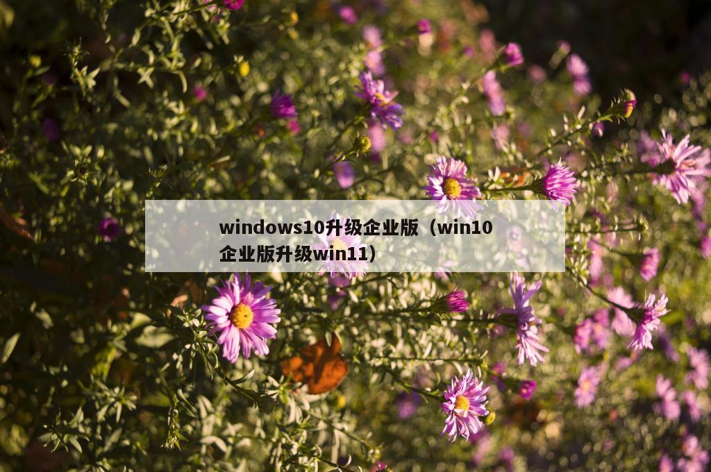 windows10升级企业版（win10企业版升级win11）