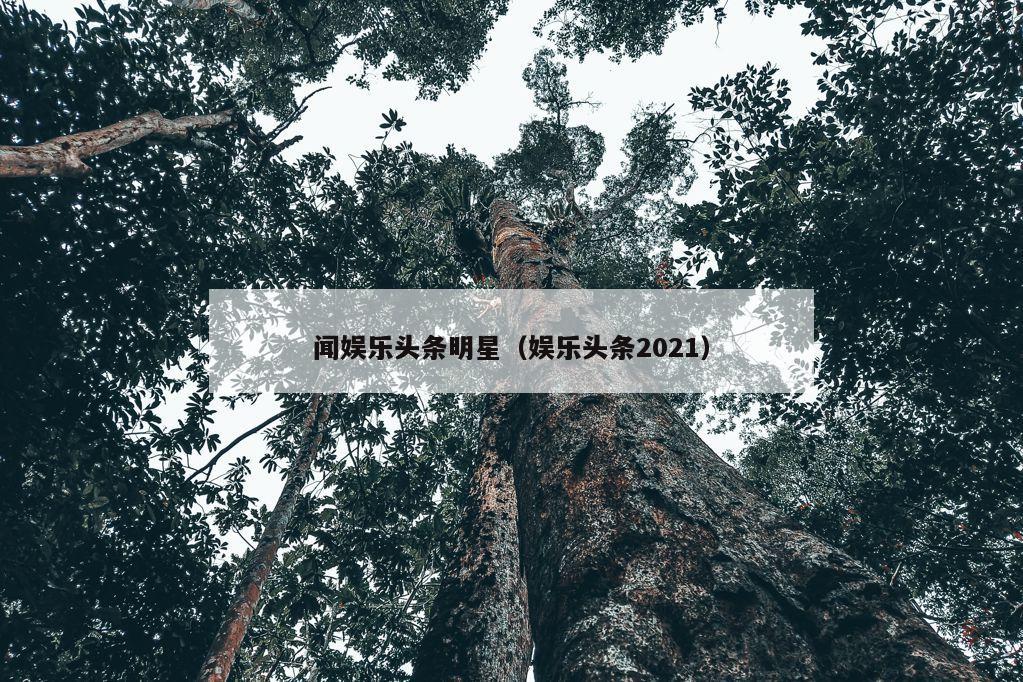 闻娱乐头条明星（娱乐头条2021）