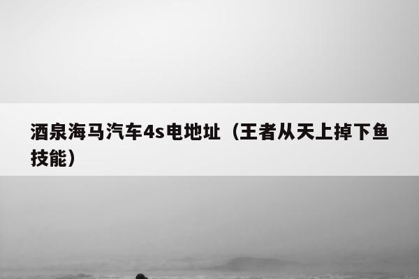 酒泉海马汽车4s电地址（王者从天上掉下鱼技能）