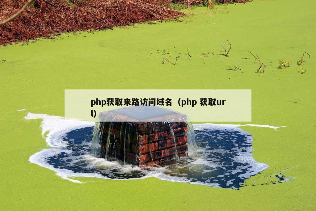 php获取来路访问域名（php 获取url）