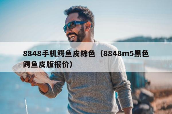 8848手机鳄鱼皮粽色（8848m5黑色鳄鱼皮版报价）