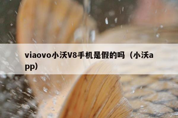 viaovo小沃V8手机是假的吗（小沃app）