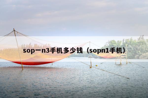 sop一n3手机多少钱（sopn1手机）