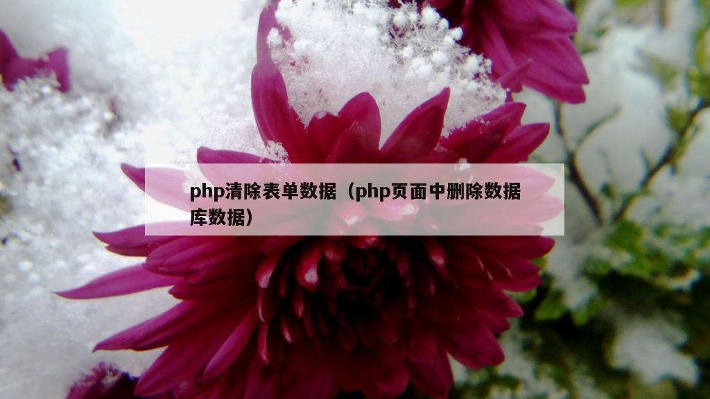 php清除表单数据（php页面中删除数据库数据）