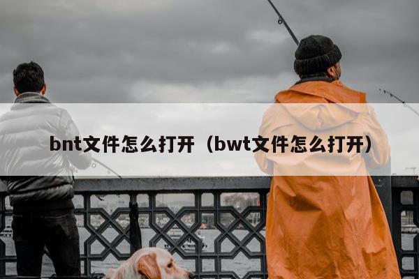 bnt文件怎么打开（bwt文件怎么打开）