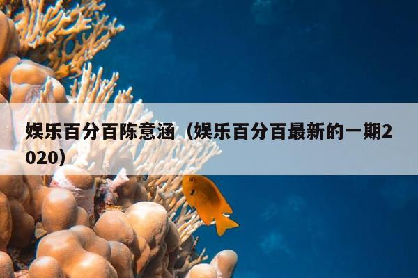 娱乐百分百陈意涵（娱乐百分百最新的一期2020）