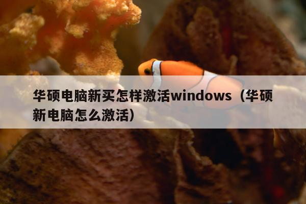 华硕电脑新买怎样激活windows（华硕新电脑怎么激活）