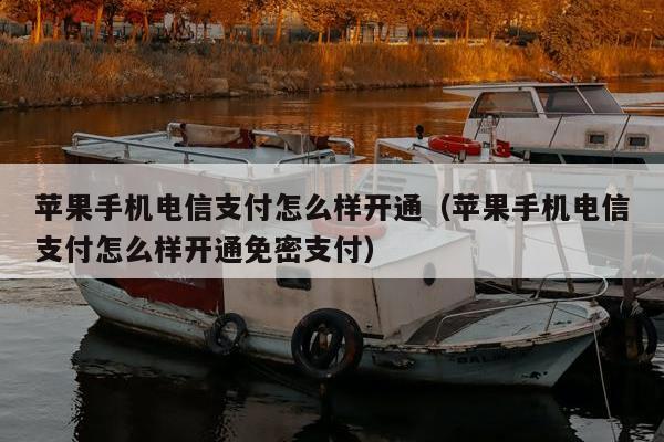 苹果手机电信支付怎么样开通（苹果手机电信支付怎么样开通免密支付）