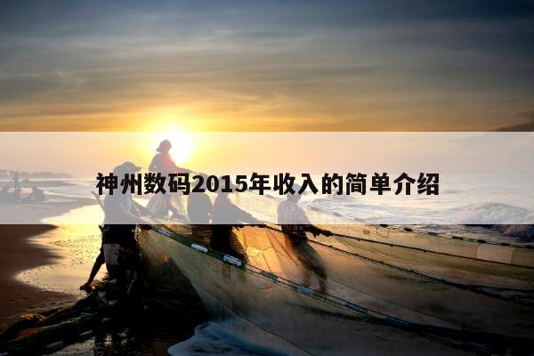 神州数码2015年收入的简单介绍