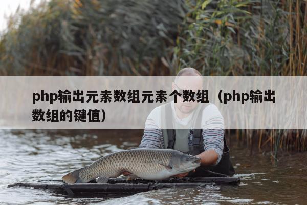 php输出元素数组元素个数组（php输出数组的键值）