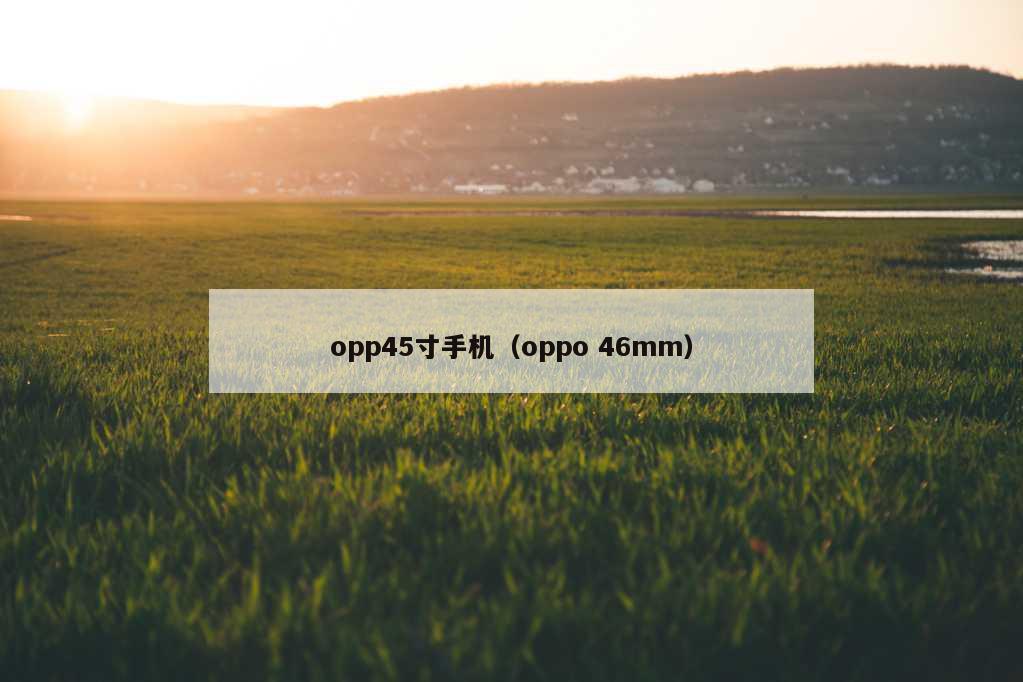 opp45寸手机（oppo 46mm）