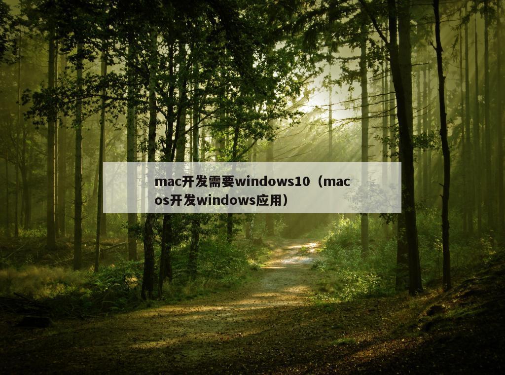 mac开发需要windows10（macos开发windows应用）