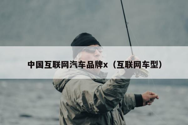 中国互联网汽车品牌x（互联网车型）