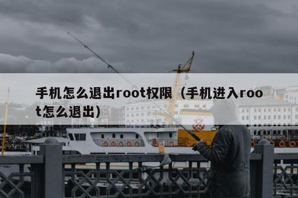 手机怎么退出root权限（手机进入root怎么退出）