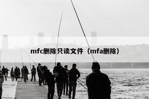 mfc删除只读文件（mfa删除）