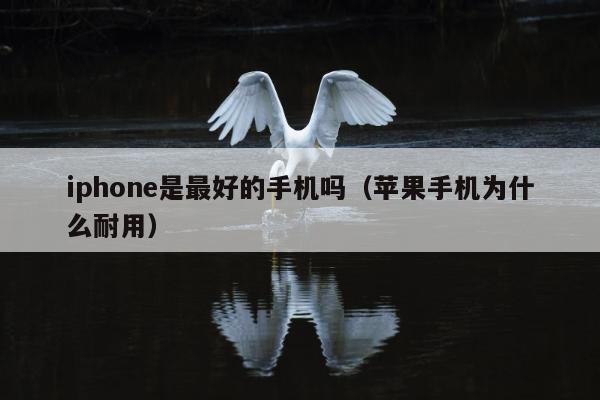 iphone是最好的手机吗（苹果手机为什么耐用）