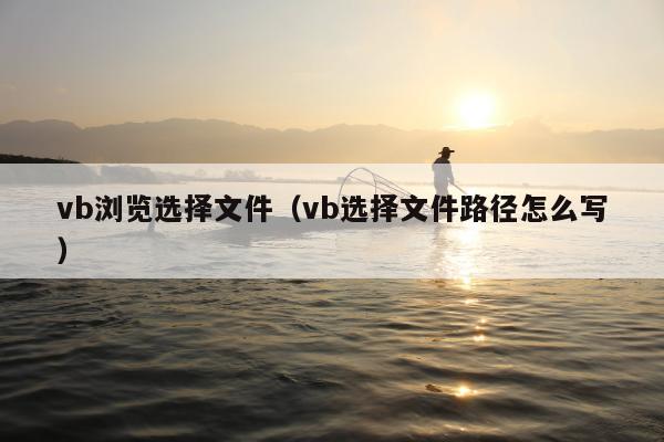 vb浏览选择文件（vb选择文件路径怎么写）