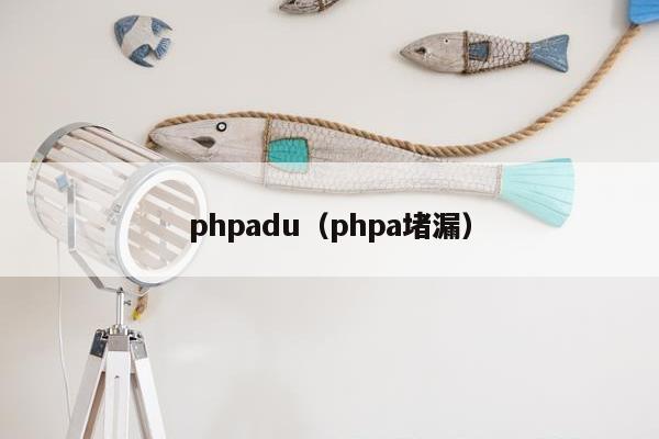 phpadu（phpa堵漏）