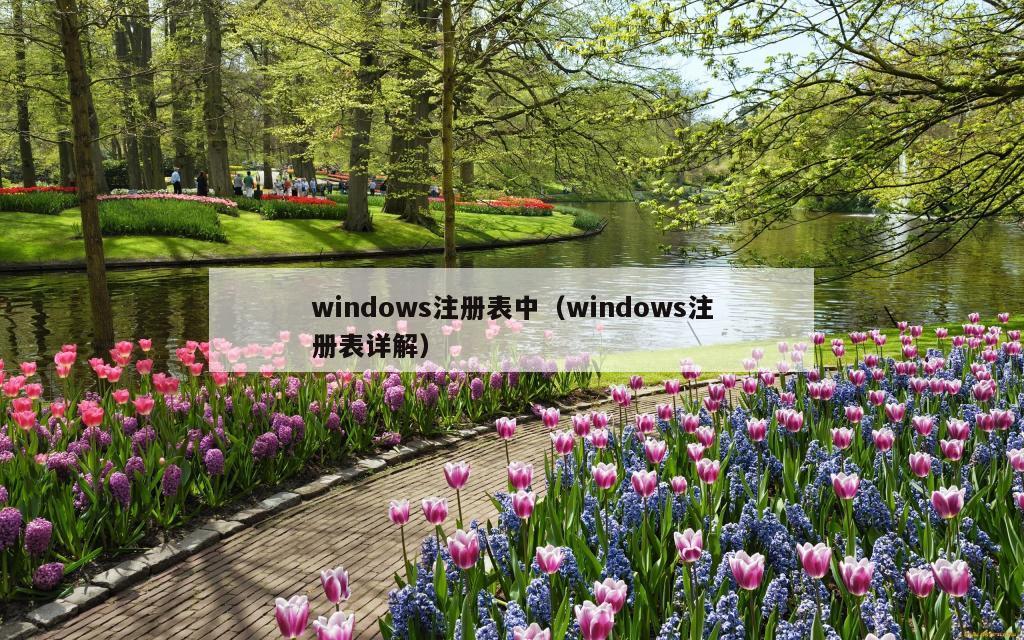 windows注册表中（windows注册表详解）