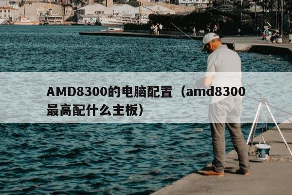 AMD8300的电脑配置（amd8300最高配什么主板）