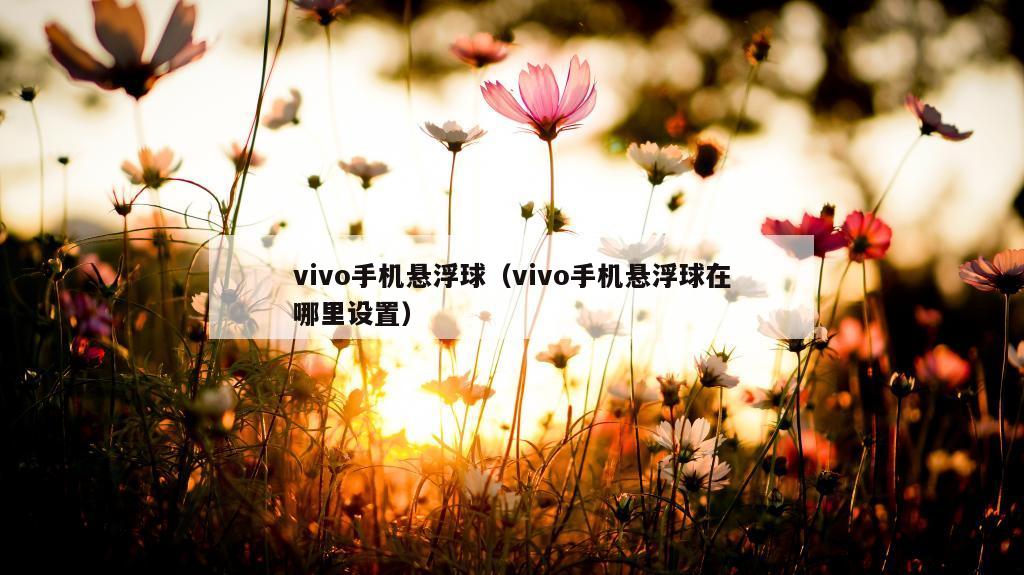 vivo手机悬浮球（vivo手机悬浮球在哪里设置）