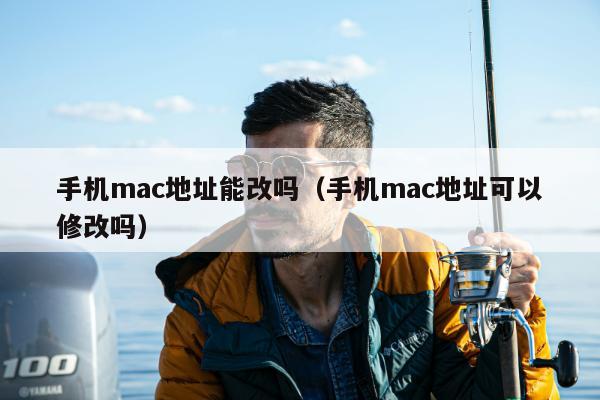 手机mac地址能改吗（手机mac地址可以修改吗）