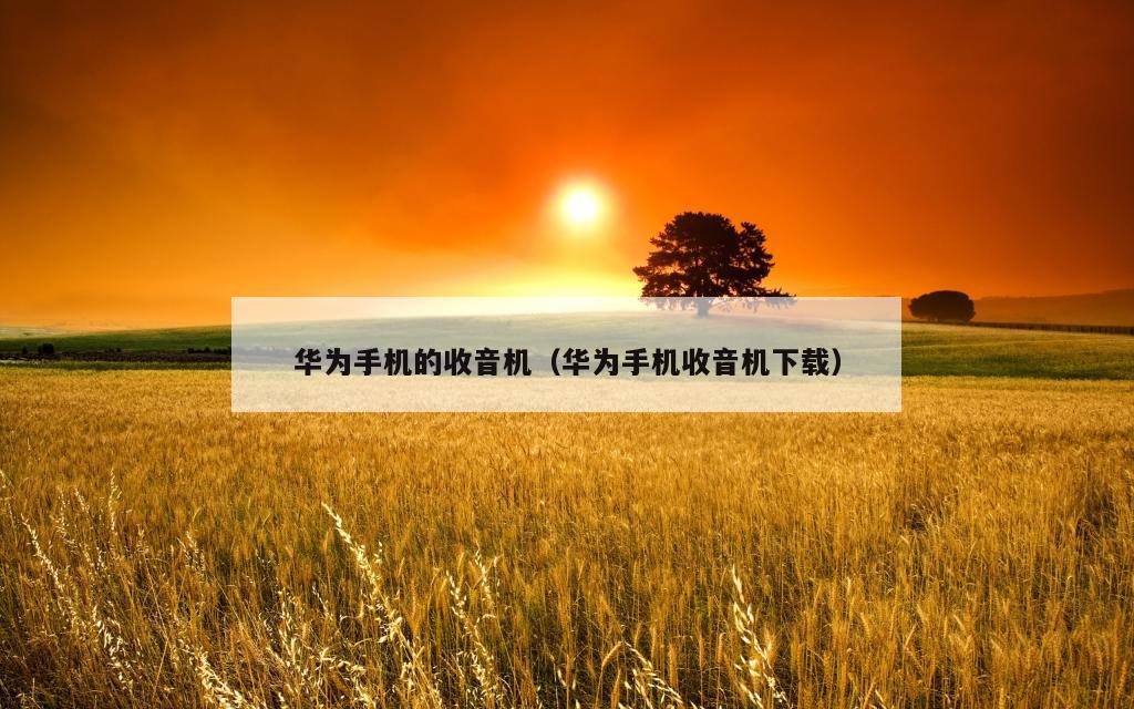 华为手机的收音机（华为手机收音机下载）