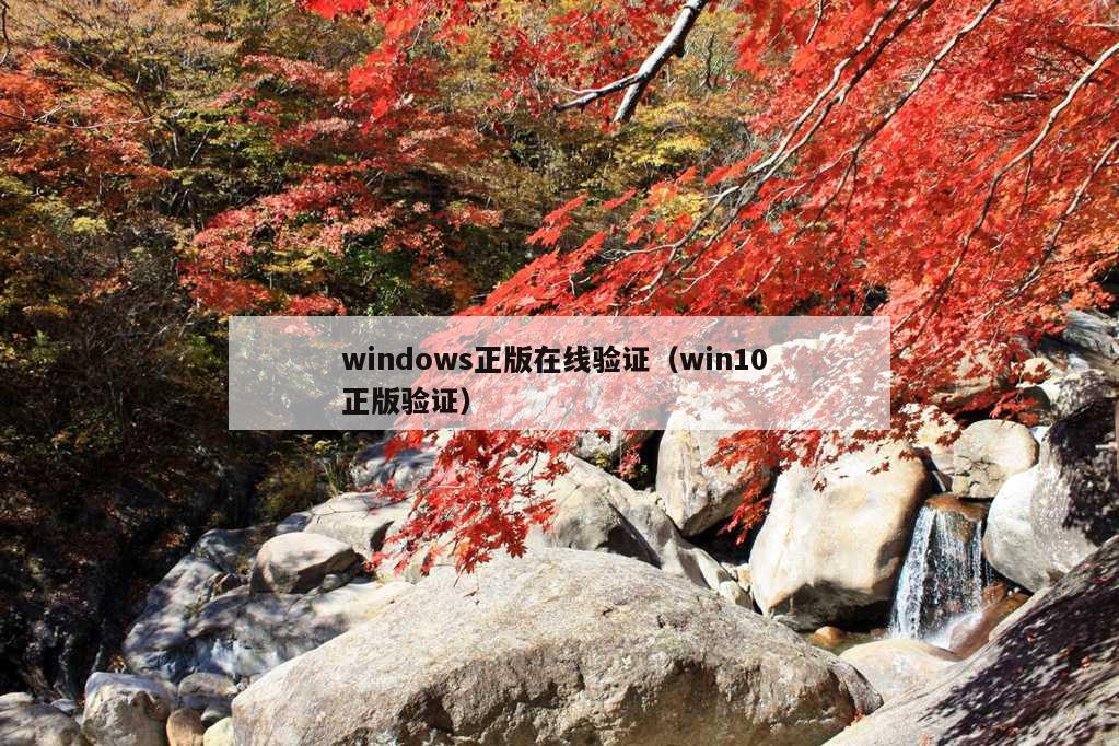 windows正版在线验证（win10 正版验证）