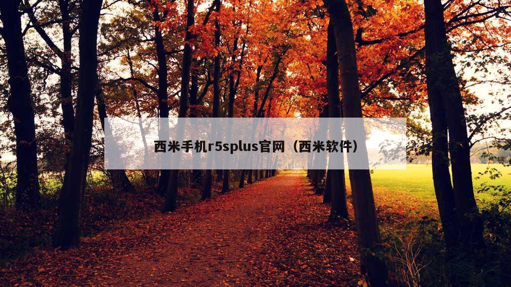 西米手机r5splus官网（西米软件）