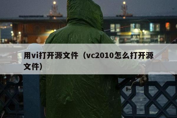 用vi打开源文件（vc2010怎么打开源文件）