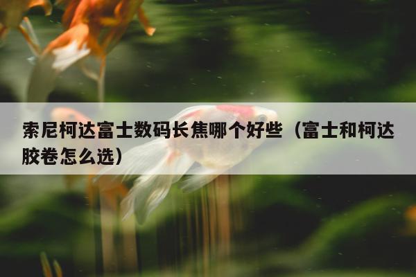 索尼柯达富士数码长焦哪个好些（富士和柯达胶卷怎么选）