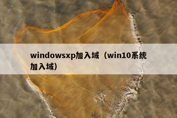 windowsxp加入域（win10系统加入域）