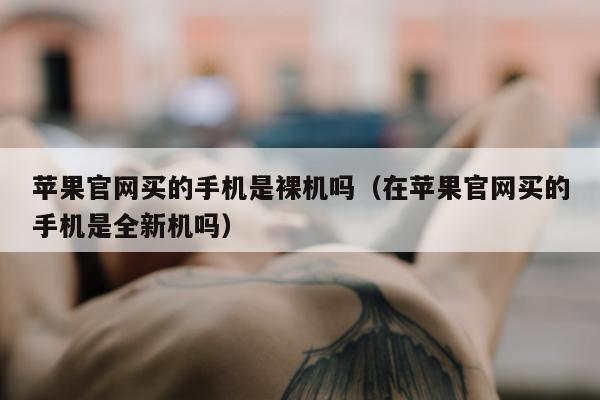 苹果官网买的手机是裸机吗（在苹果官网买的手机是全新机吗）