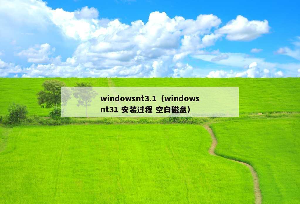 windowsnt3.1（windowsnt31 安装过程 空白磁盘）