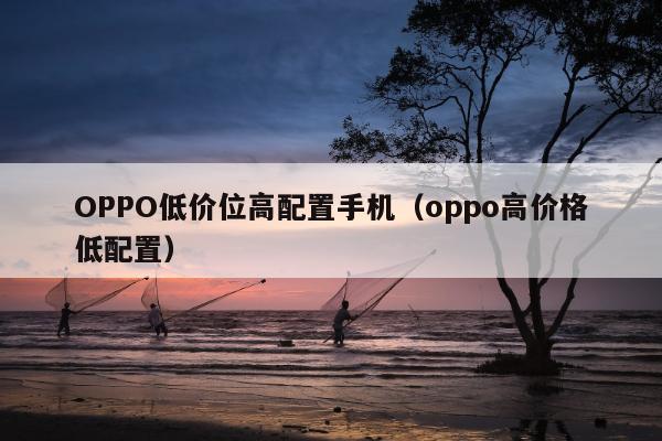 OPPO低价位高配置手机（oppo高价格低配置）