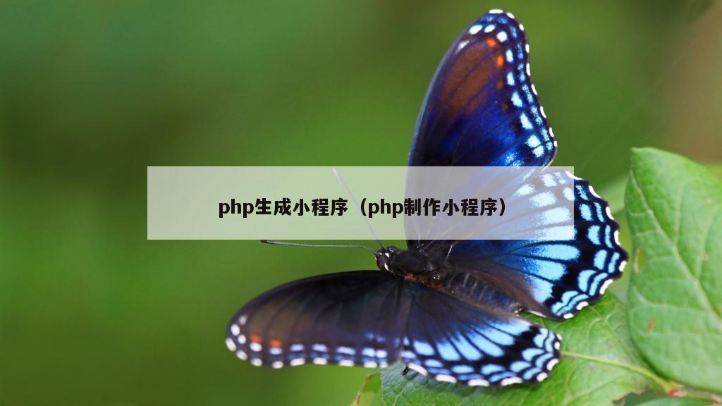 php生成小程序（php制作小程序）