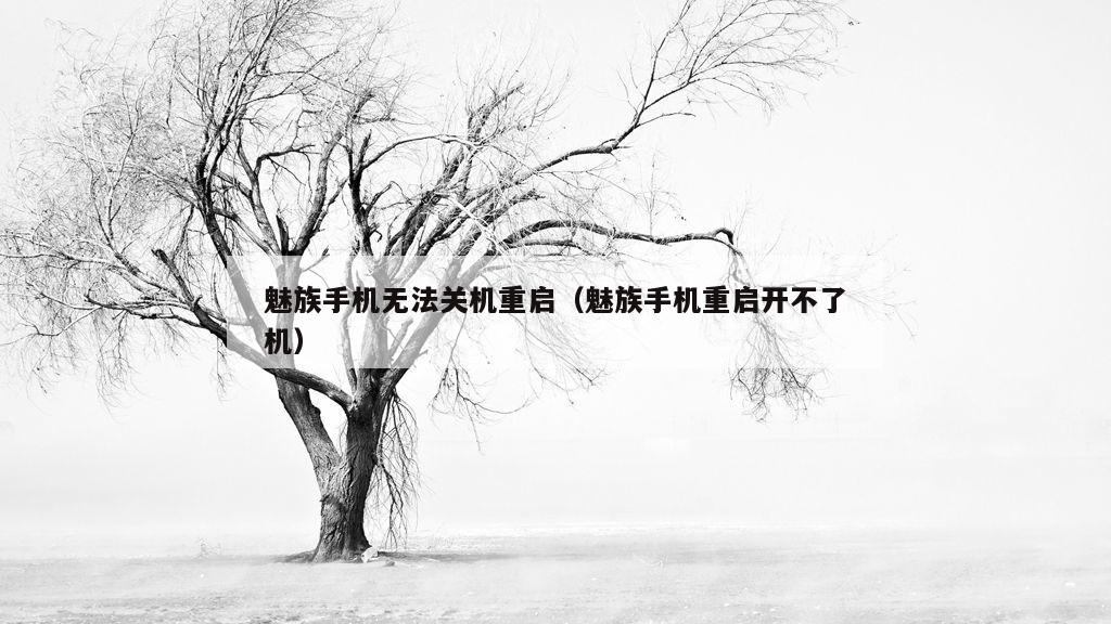 魅族手机无法关机重启（魅族手机重启开不了机）