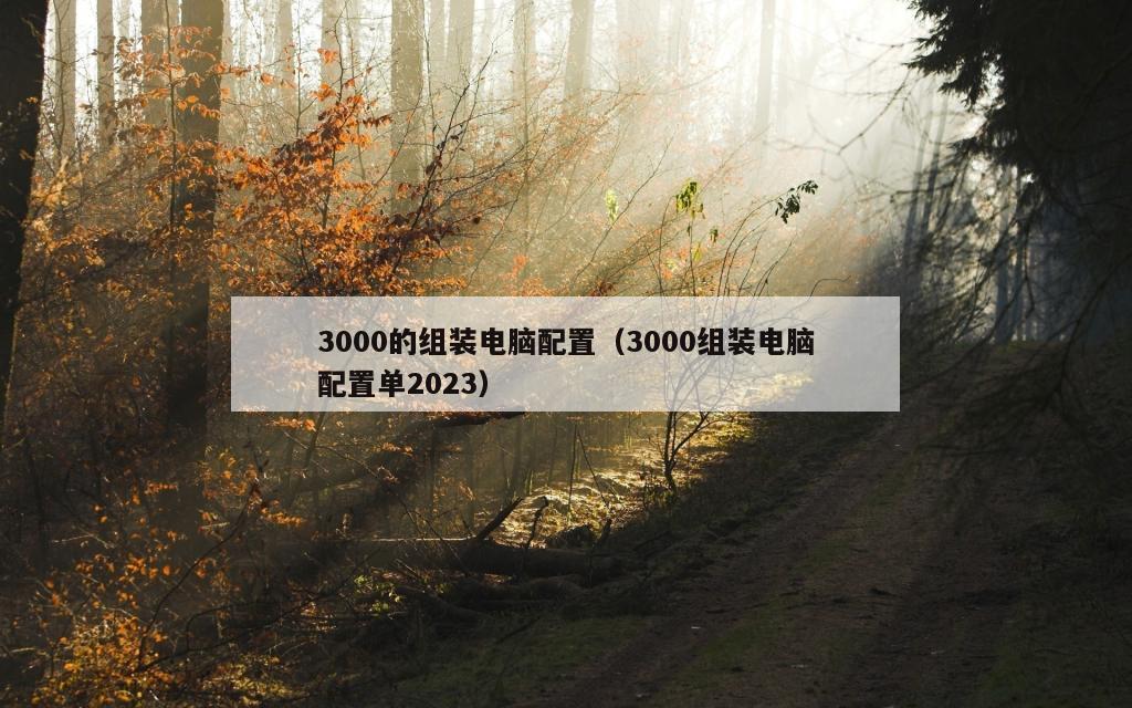 3000的组装电脑配置（3000组装电脑配置单2023）