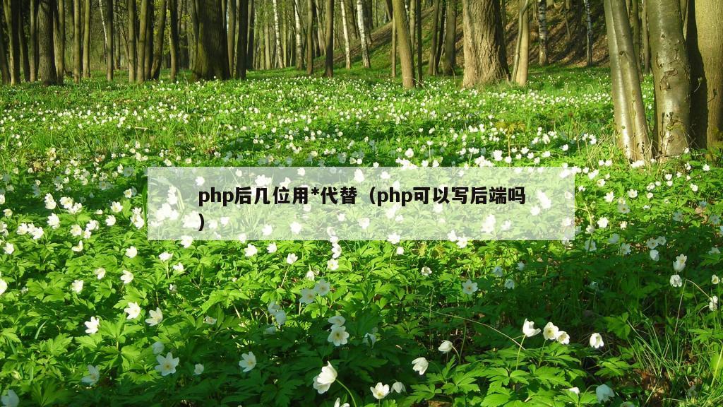 php后几位用*代替（php可以写后端吗）