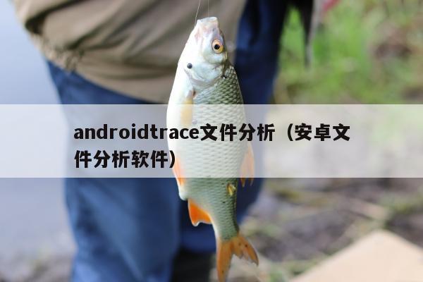 androidtrace文件分析（安卓文件分析软件）