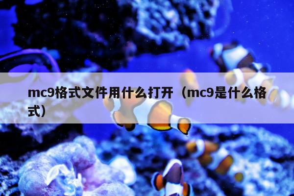 mc9格式文件用什么打开（mc9是什么格式）