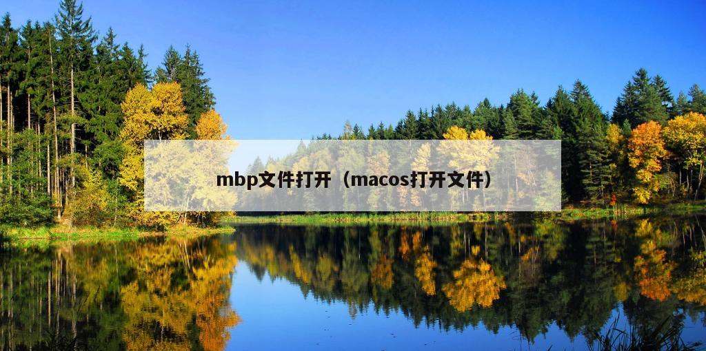 mbp文件打开（macos打开文件）