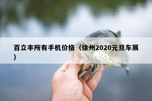 百立丰所有手机价格（徐州2020元旦车展）