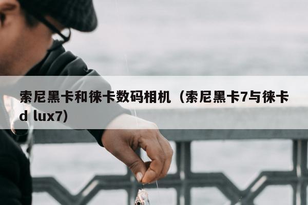 索尼黑卡和徕卡数码相机（索尼黑卡7与徕卡d lux7）