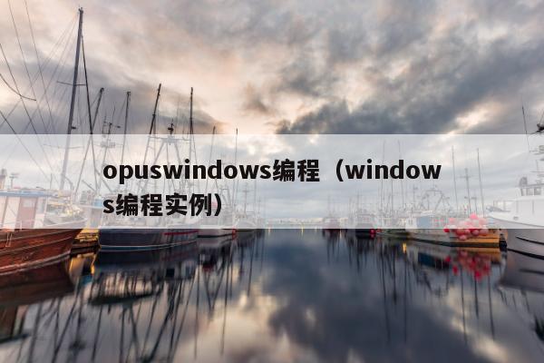 opuswindows编程（windows编程实例）